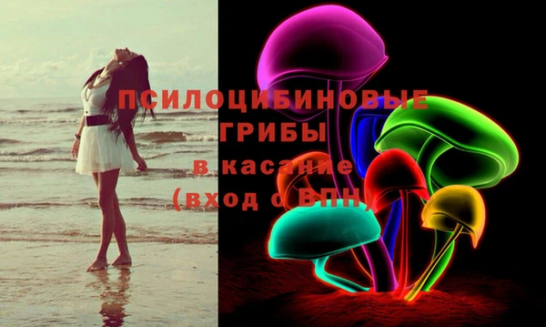эйфоретик Аркадак