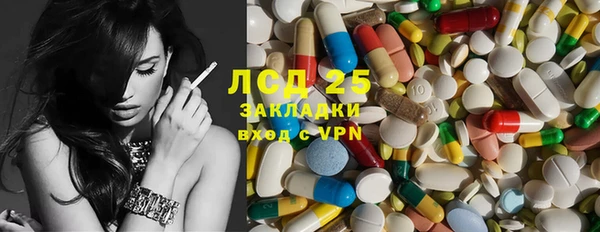 эйфоретик Аркадак