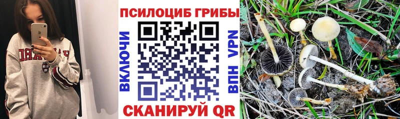 Галлюциногенные грибы GOLDEN TEACHER хочу наркоту Руза